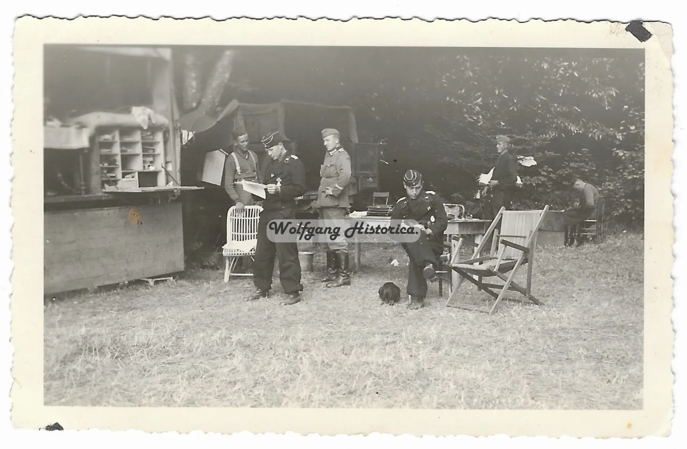 Photographs of Panzer-Regiment 31 - Image 6