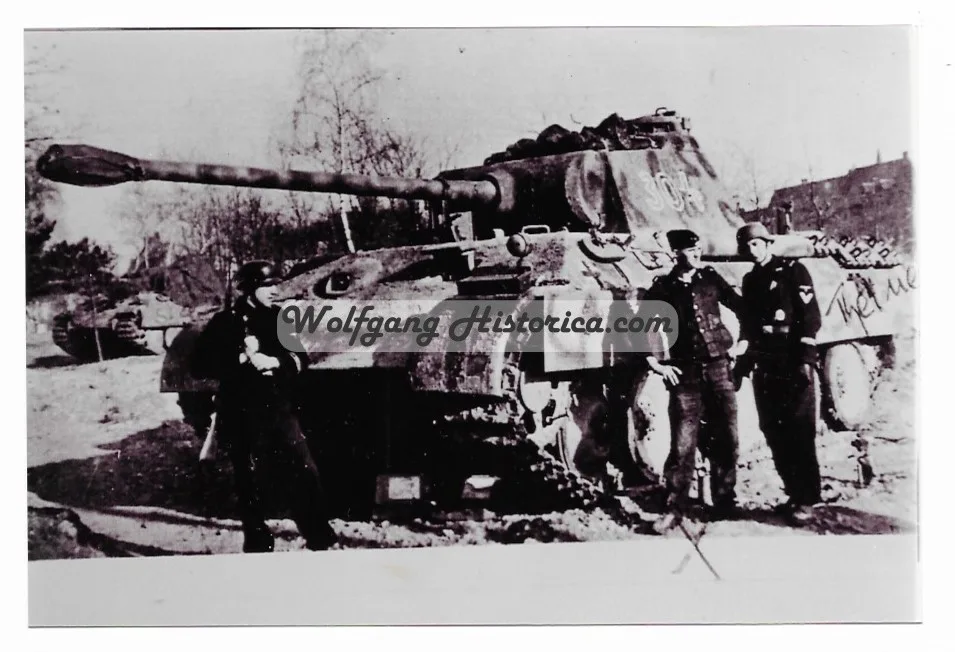 PS410 - Heinz Freiberg a Heinz Freiberg - SS-Panzer-Regiment 12 "Hitlerjugend" - Image 1