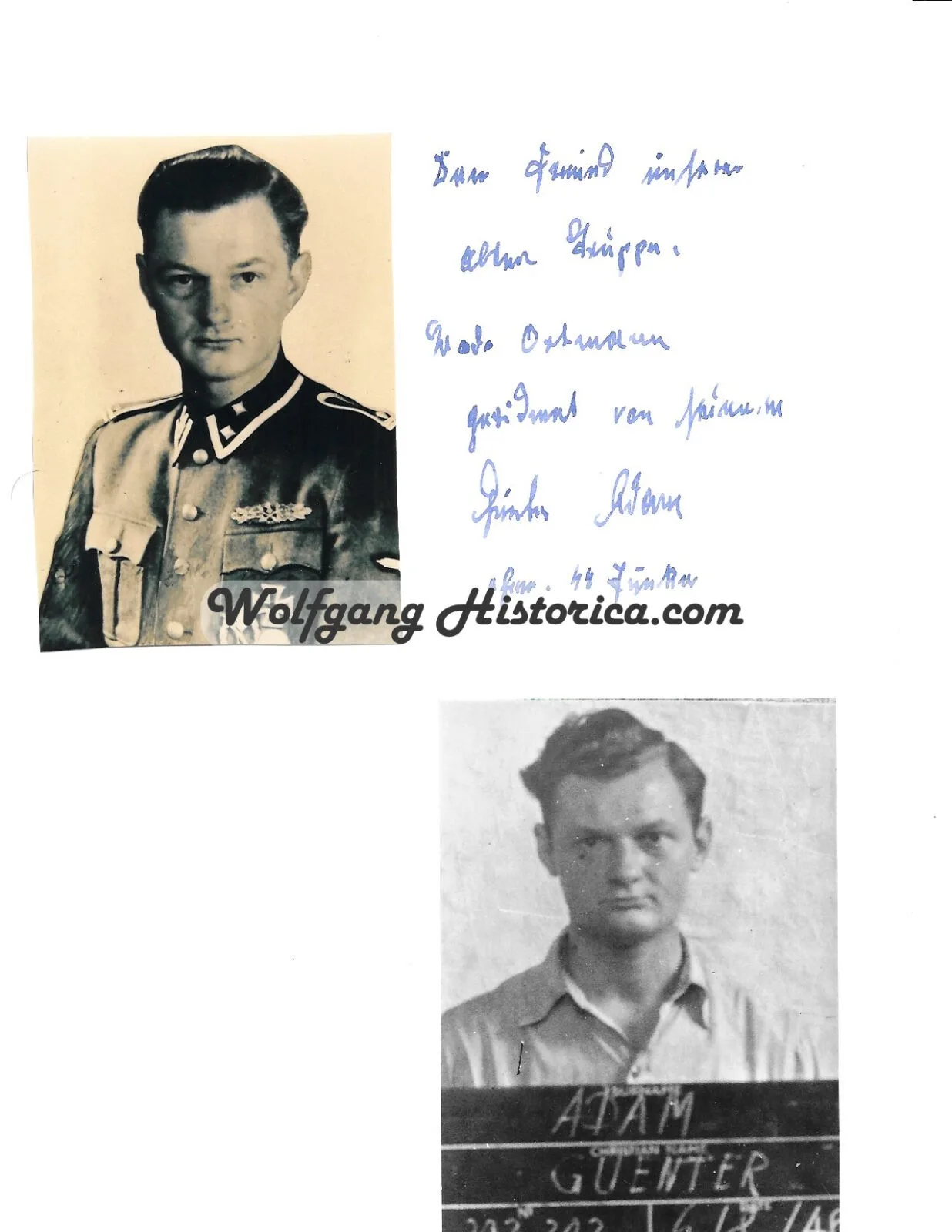 PS790 - Günter Adam - 3 Günter Adam – Panzer-Division “Wiking” & “Hohenstaufen” - Image 1