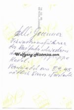 Willi Gemmer - 37. SS-Freiwilligen-Kavallerie-Division "Lützow" - Image 2