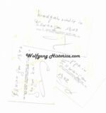 Helmut Scherrinsky - "Das Reich" & "Totenkopf" - Image 2