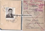 Soldbuch of a Luftwaffe Flaksoldier - Transferred to the W-SS "Wiking" in 1944 (KIA in 1945)