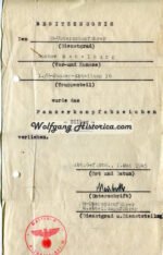 Set of Waffen-SS "Totenkopf" & "RF-SS" Panzer - Earned the PAB25! - Image 15