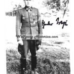 Teddy Wisch – 1. SS-Panzer-Division “Adolf Hitler” (Swords)