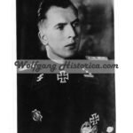 Hans Flügel - SS-Panzer-Regiment 5 "Wiking"