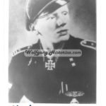 Willi Fey – schwere SS-Panzer-Abteilung 502