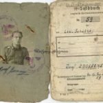 Soldbuch: Freiwilligen-Legion "Flandern" - Division "Langemarck" (KIA in 45!)