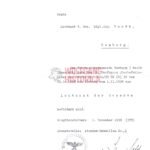 Promotion & Permission Doc of Leutnant - Pionier-Bataillon 20