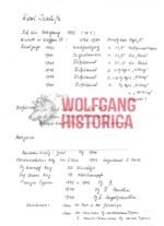 Karl Jauss - SS-Panzer-Regiment 5 "Wiking" (DKIG) - Image 2