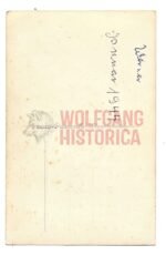 Portrait of a Waffen-SS Soldier - Image 2