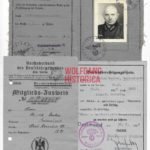 Set of Driver Licences & ID's from one Person