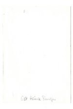 Heinz Reintjes - Panzergrenadier-Bataillon 2102 - Image 2