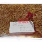 Postwar Photograph of Grave Günter Jolitz (Ritterkreuz)