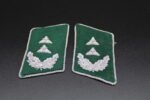 Pair of Luftwaffe Beamte Collar Tabs for a Kriegsoberinspektor