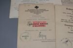2x Award Docs: Iron Cross 2nd Class & WB Silver + Extra Docs (3.Geb.Div.) - Image 2