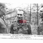 Harald Nugiseks – 20. Waffen-Grenadier-Division der SS (estnische Nr. 1)
