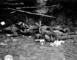 Battle of Normandy KIA Soldbuch - Grenadier-Regiment 984 (275.Inf.Div.) - Image 12