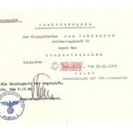 Allgemeines-Sturmabzeichen Award Doc - Reiter-Regiment 22