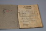 Waffen-SS Soldbuch & Wehrpass - SS-K.N.A.101 - Image 5