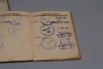 Waffen-SS Soldbuch & Wehrpass - SS-K.N.A.101 - Image 10