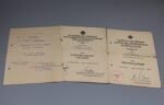 3x Award Docs Sturmgeschütz-Abteilung 270 (ASA25!) (1. Ski-Jäger-Division)