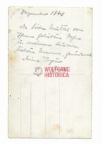 Decorated "LSSAH" Oberscharführer with cypher "2"on Shoulderboards - Image 2