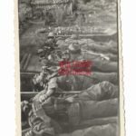 KIA German Soldiers of the Wehrmacht