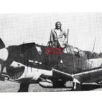 Hans-Ulrich Rudel - Schlachtgeschwader 2 "Immelmann" (Diamonds)