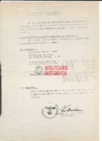 Pilot Badge Award Doc: Me-262 Ace (!) - Image 2