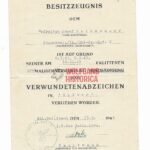 Wound Badge in Silver – Ski-Jäger-Regiment 2 (1.Ski.Jäg.Div)