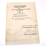 Award Doc: Sturmabzeichen (Pz.Jg.Abt.654)