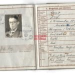 Wehrpass Officer A.R.263, 356 & 1066 (WIA Italy '44)