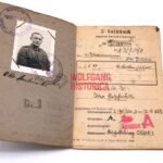 SS-Soldbuch - SS-Polizei-Division (1x Award)