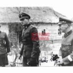 Teddy Wisch – 1. SS-Panzer-Division “Adolf Hitler” (Swords)