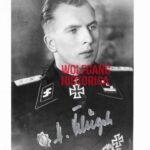 Hans Flügel – SS-Panzer-Regiment 5 “Wiking”