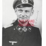 Willi Heinrich - Führer-Grenadier-Brigade