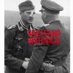 Heinrich Meyering - Schlachtgeschwader 2 “Immelmann”