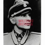 Walter Girg – SS-Jäger-Bataillon 502 & SS-Jagdverband Mitte (Eichenlaub)