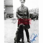 Heinrich Hogrebe - Inf.-Rgt. 422 (Grossdeutschland, Battle of Berlin) (Eichenlaub)