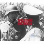 Otto Starosta - Grenadier-Regiment 686 (336. Infanterie-Division)