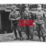 Walter Dorsch - Grenadier-Regiment 544 (389. Infanterie-Division)