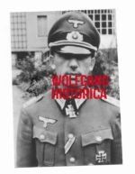 Robert Alber - Panzer-Regiment 201