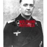 Albert Meder - Panzerjäger-Abteilung 33 (15. Panzergrenadier-Division)