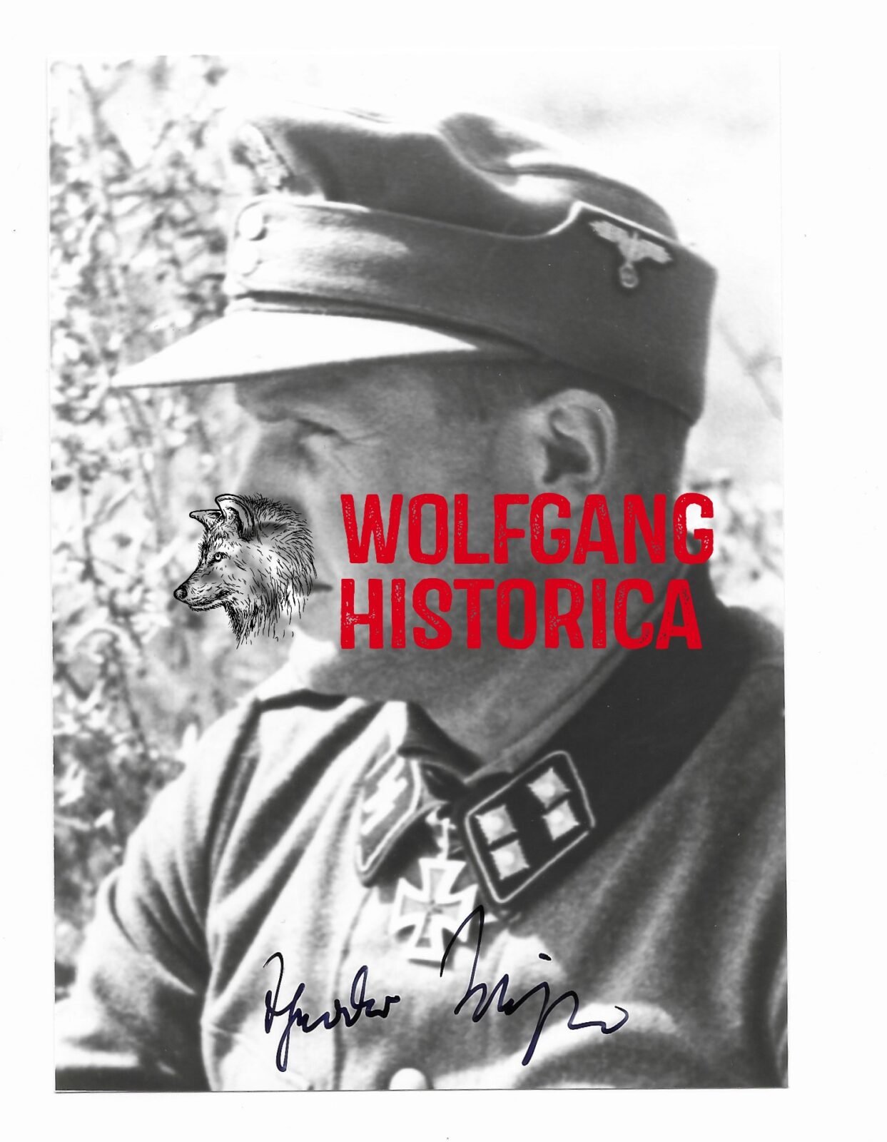 COVM903 - Teddy wisch Teddy Wisch – 1. SS-Panzer-Division “LSSAH” (Schwertern) - Image 1