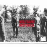 Erich Timm - Fallschirmjäger-Regiment 12