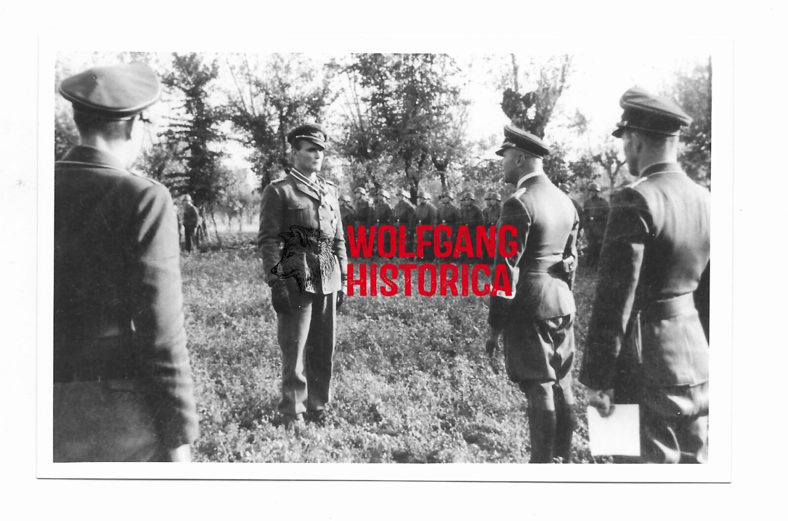 COVM985 - Erich Timm 1 Erich Timm - Fallschirmjäger-Regiment 12 - Image 1