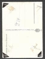 Otto Schniewind - Seekriegsleitung & Oberbefehlshaber des Marinegruppenkommandos Nord (Wartime Signed) - Image 2