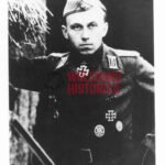 Felix Adamowitsch - Sturmgeschütz-Brigade 904