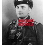 Wilhelm Berkenbusch - Grenadier-Regiment 914 (352. Volksgrenadier-Division)