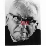 Ward Hermans - Algemeene-SS Vlaanderen, Flemish Nationalist & Politician